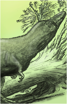 Burrunjor's image