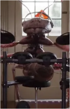 Giant Pet Ant's image