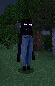 Image 5 of Enderman