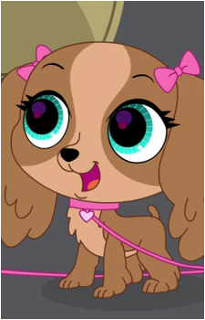Nutmeg Dash's image