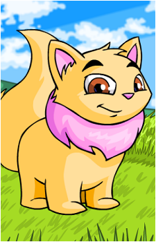 Wocky's image