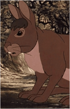 Bigwig's image
