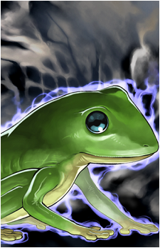 Des Frog's image