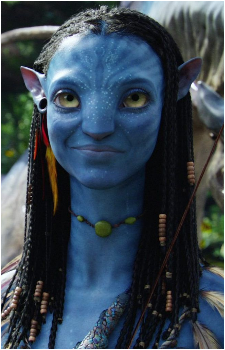 Image 4 Image 4