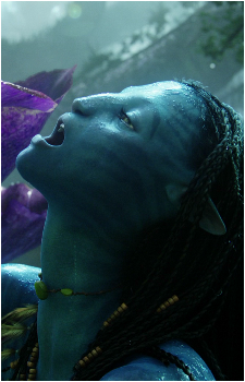 Image 7 Image 7