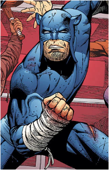 Wildcat (Ted Grant)'s image