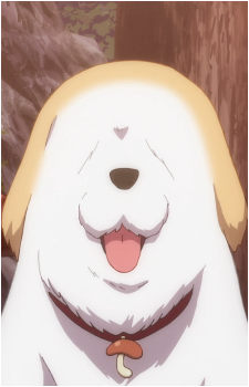Shiitake's image