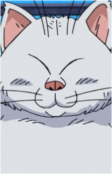Korin