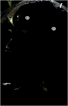 Image 66 of Springtrap