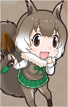 Japanese Squirrel