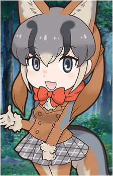 Gray Fox's image