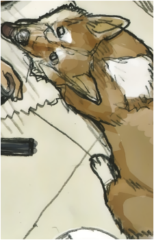 Image 24