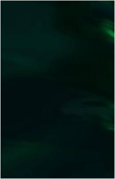 Image 42