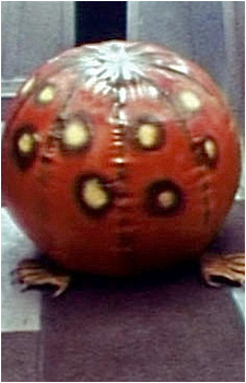 Alien {DS}'s image