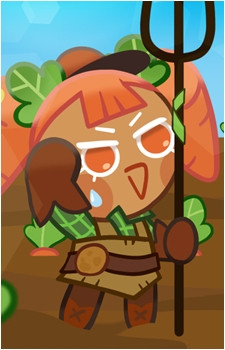 Carrot Cookie