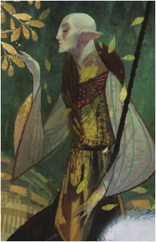 Image 13