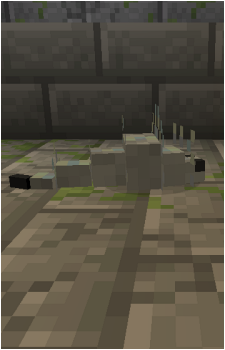 Silverfish's image