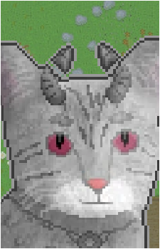 Nil {Cattails}'s image