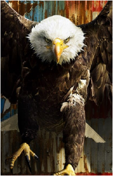 Eagly's image
