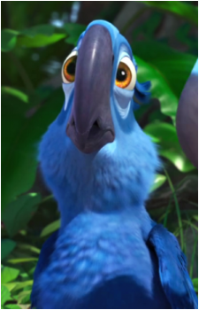 Blu