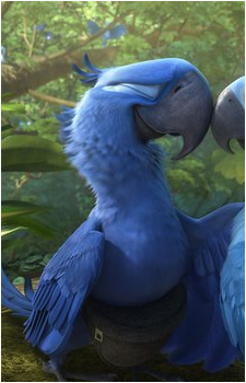 Blu