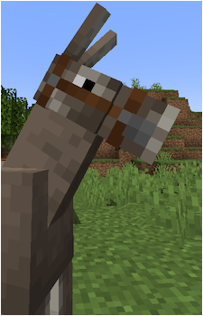 Donkey {MC}