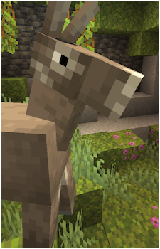 Donkey {MC}