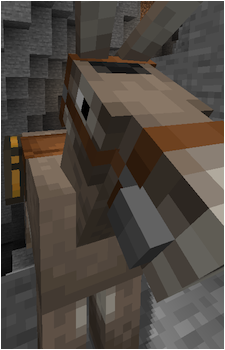 Donkey {MC}