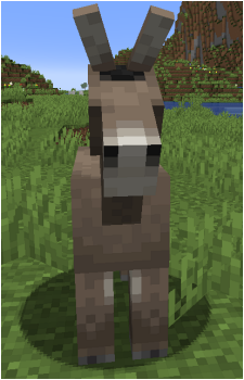 Donkey's image