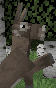 Donkey {MC}
