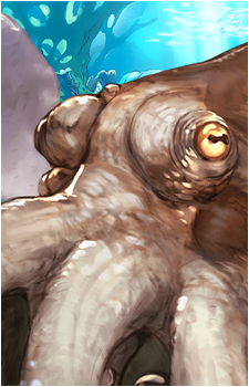 Octosuke