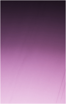 Image 39