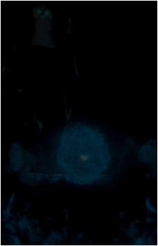 Image 41