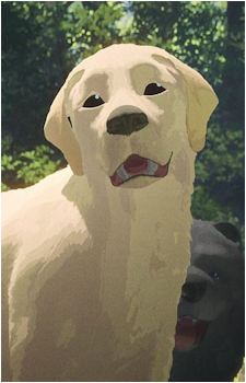Dog {Flow}