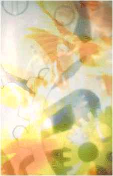Image 29