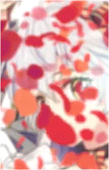 Image 30