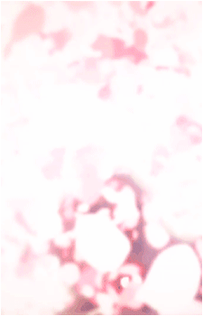 Image 27