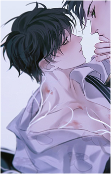 Image 9