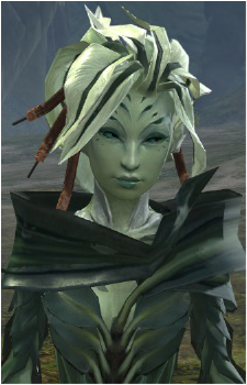 Caithe's image