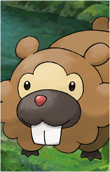 Bidoof's image