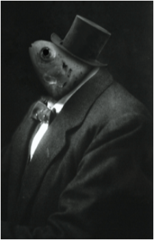 SCP-527's image