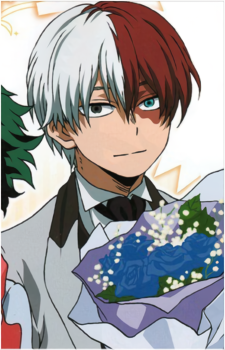 Image 5 of Shoto Todoroki