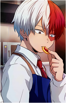 Image 10 of Shoto Todoroki