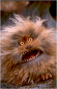Fizzgig's image