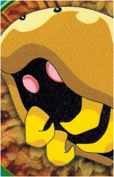 Image 39