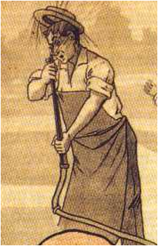 Gardener {LAA}'s image