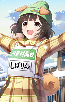 Shibarin
