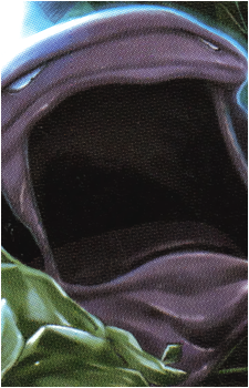Image 34
