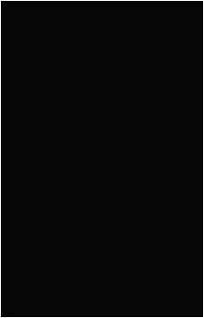 Image 33