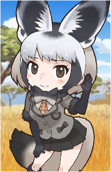 Bat-Eared Fox's image